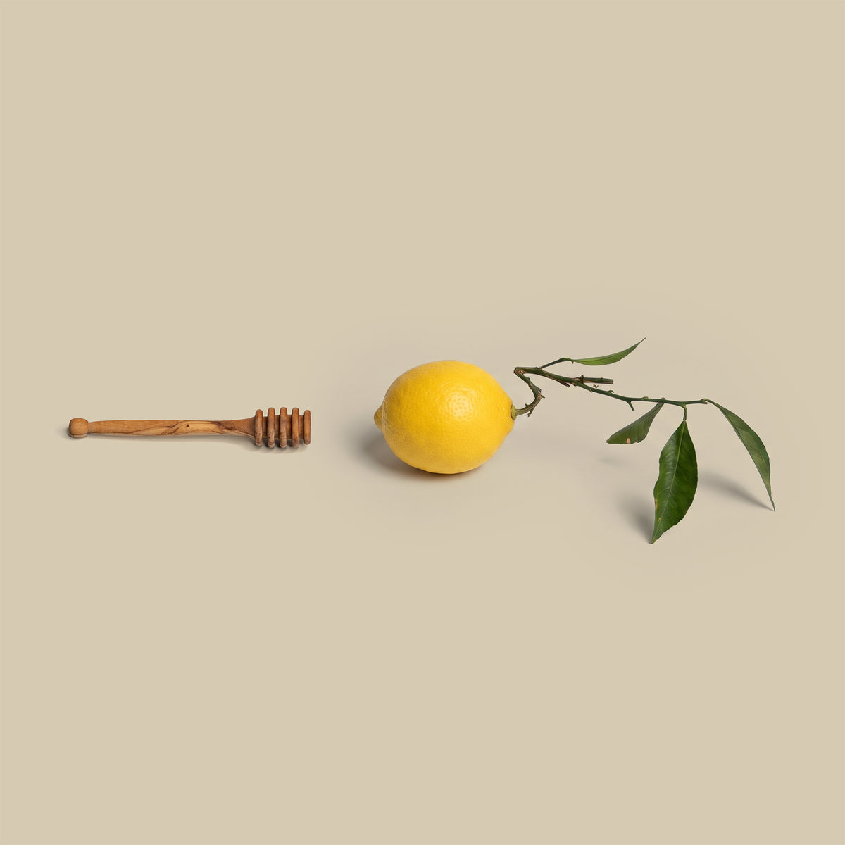 Honiglöffel Honey Lover | 2er-Set